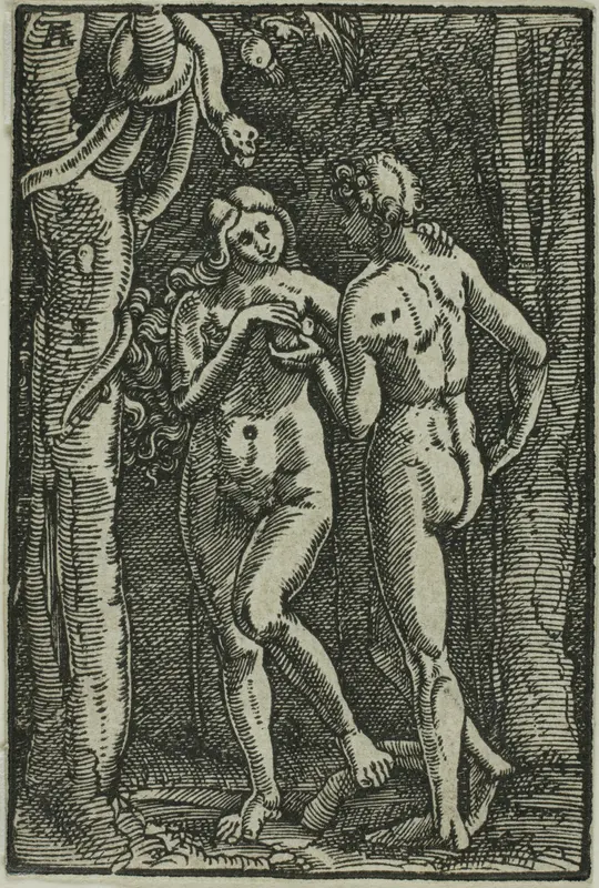 The Fall of Man, from The Fall and Redemption of Man Wall Art by Albrecht Altdorfer - High-Resolution Digital Print