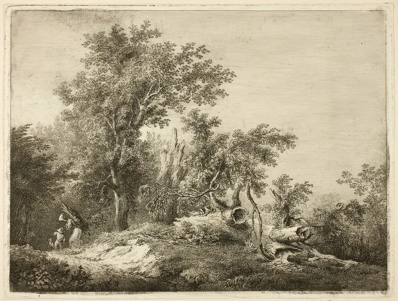 The Fallen Tree Trunk