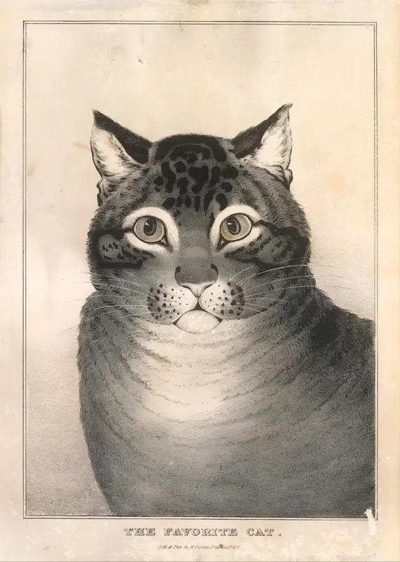 The Favorite Cat Wall Art by Nathaniel Currier - High-Resolution Digital Print