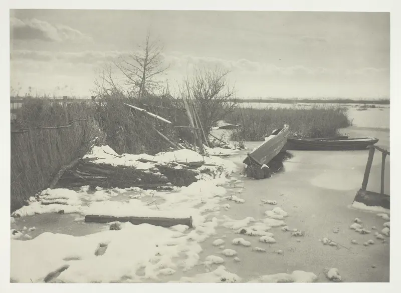 The First Frost