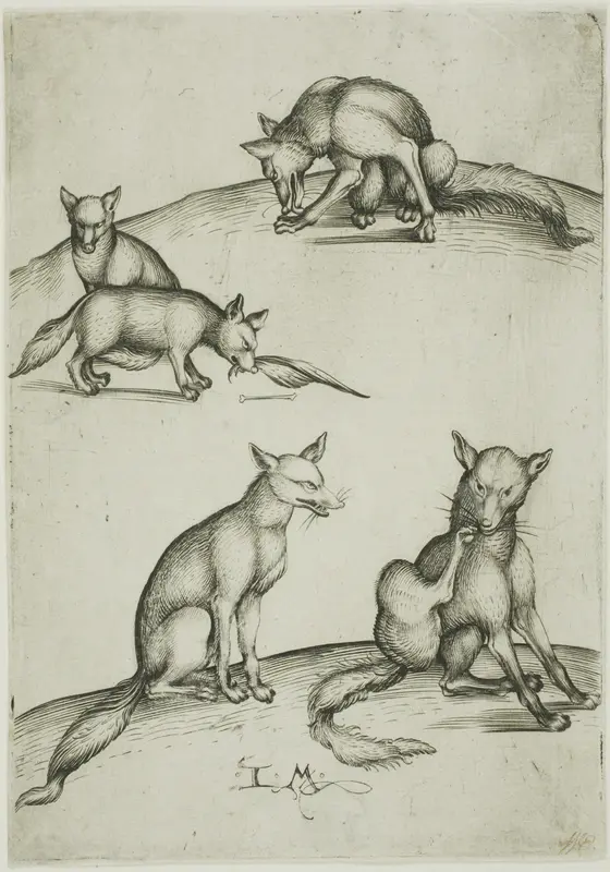 The Five Foxes Wall Art by Israhel van Meckenem, the younger - High-Resolution Digital Print