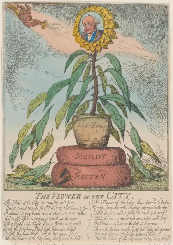 The Flower of the City Wall Art by Thomas Rowlandson - High-Resolution Digital Print