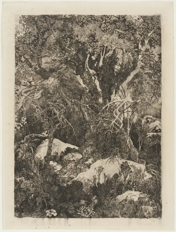 The Forest of Fontainebleau