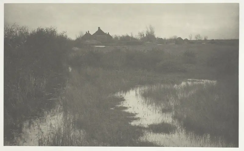 The Fringe of the Marsh