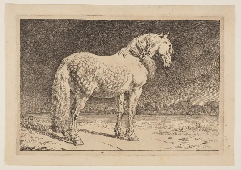 The Frisian Horse, from Series of Horses