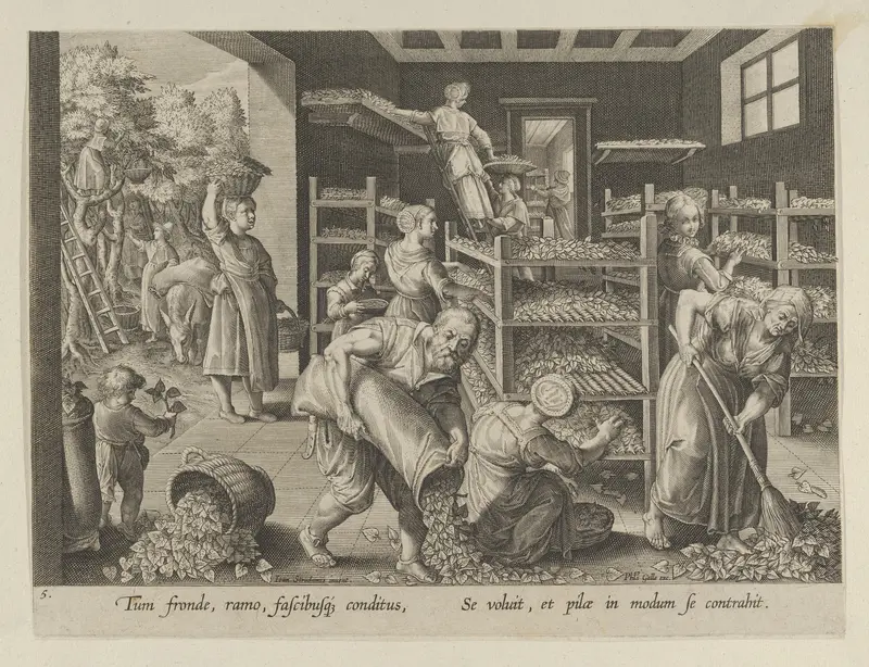 The Gathering of Mulberry Leaves and the Feeding of the Silkworms, Plate 5 from "The Introduction of the Silkworm" [Vermis Sericus] Wall Art by Karel van Mallery - High-Resolution Digital Print