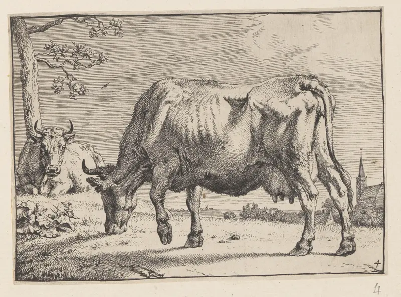The Grazing Cow, from Various Oxen and Cows Wall Art by Paulus Potter - High-Resolution Digital Print