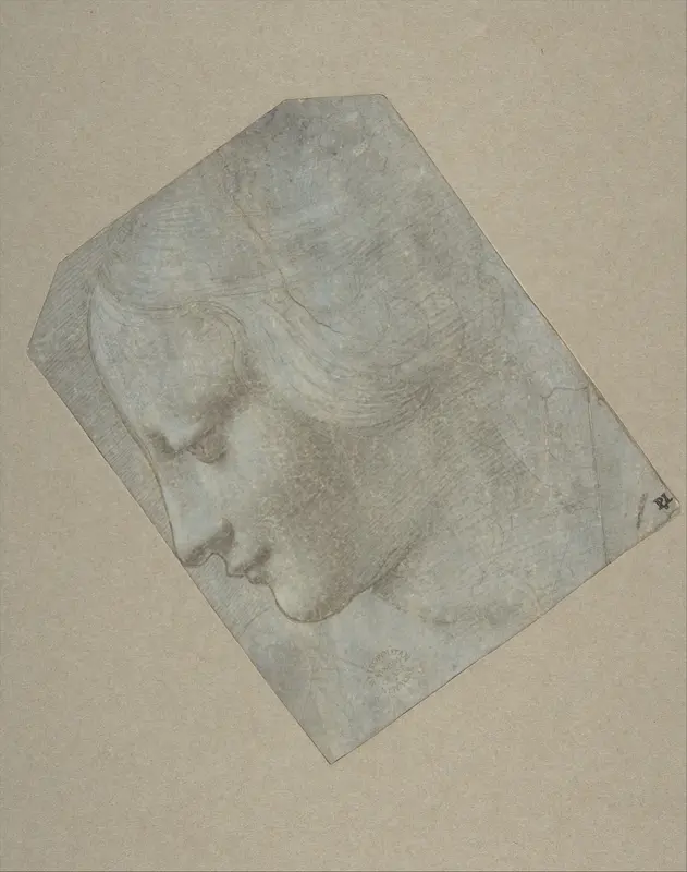 The Head of a Woman in Profile Facing Left Wall Art by Giovanni Antonio Boltraffio - High-Resolution Digital Print
