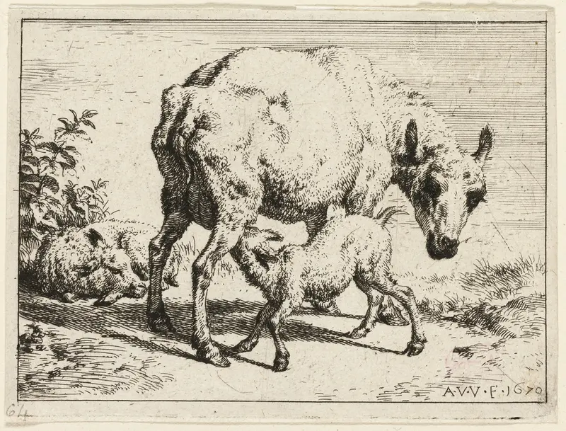 The Lamb