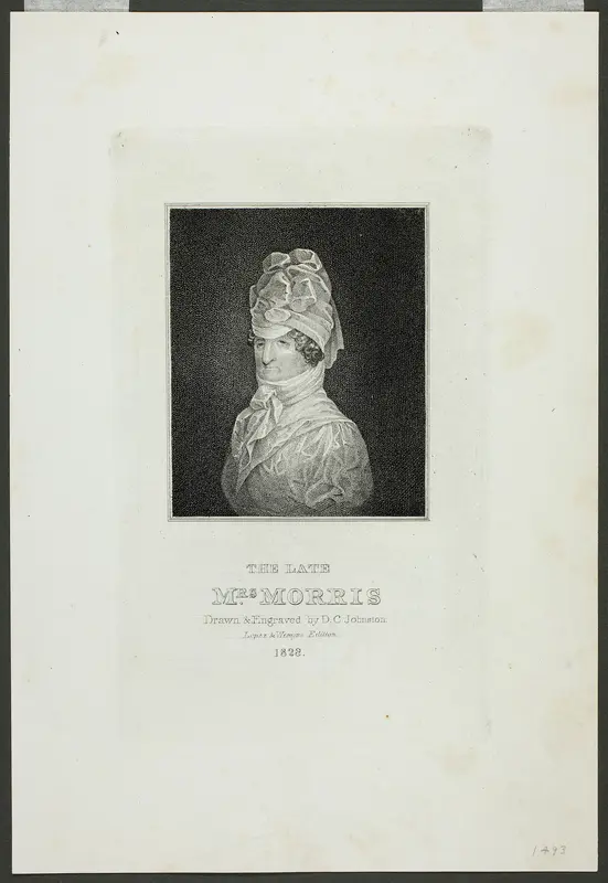 The Late Mrs. Morris Wall Art by David Claypoole Johnston - High-Resolution Digital Print