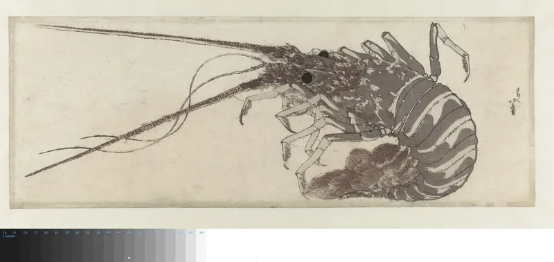 The Lobster Wall Art by Unknown - High-Resolution Digital Print