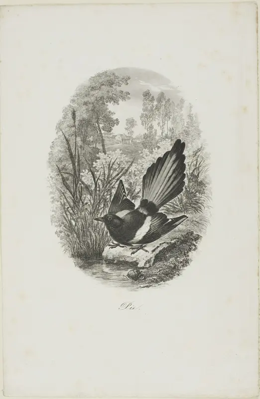 The Magpie Wall Art by Charles François Daubigny - High-Resolution Digital Print