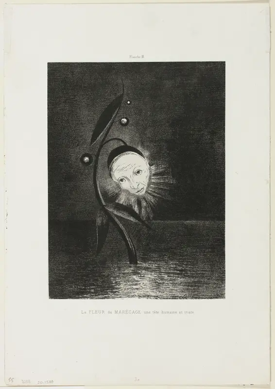 The Marsh Flower, a Sad Human Head, plate 2 of 6