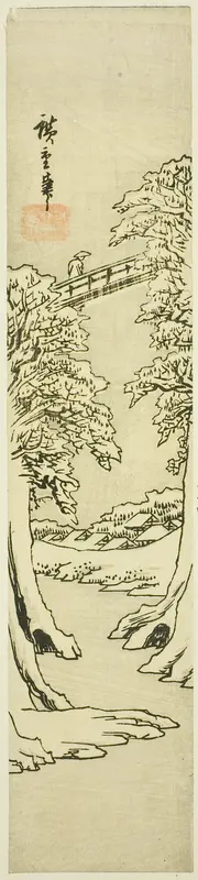 The Monkey Bridge in Winter