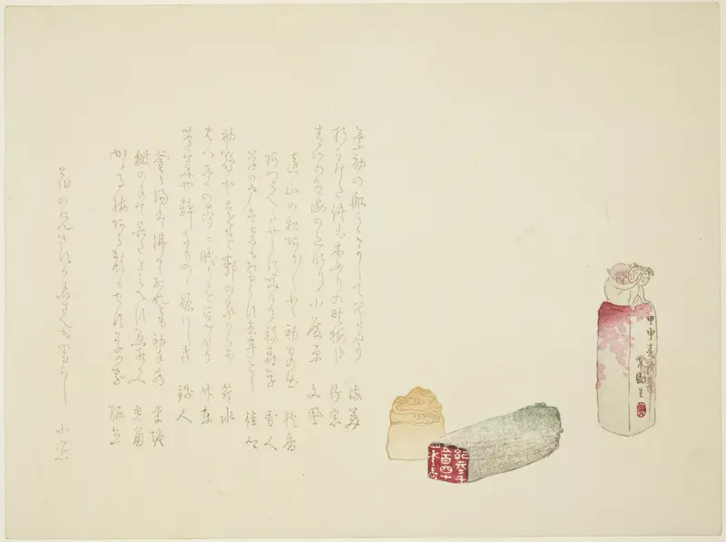 The Monkey Seal