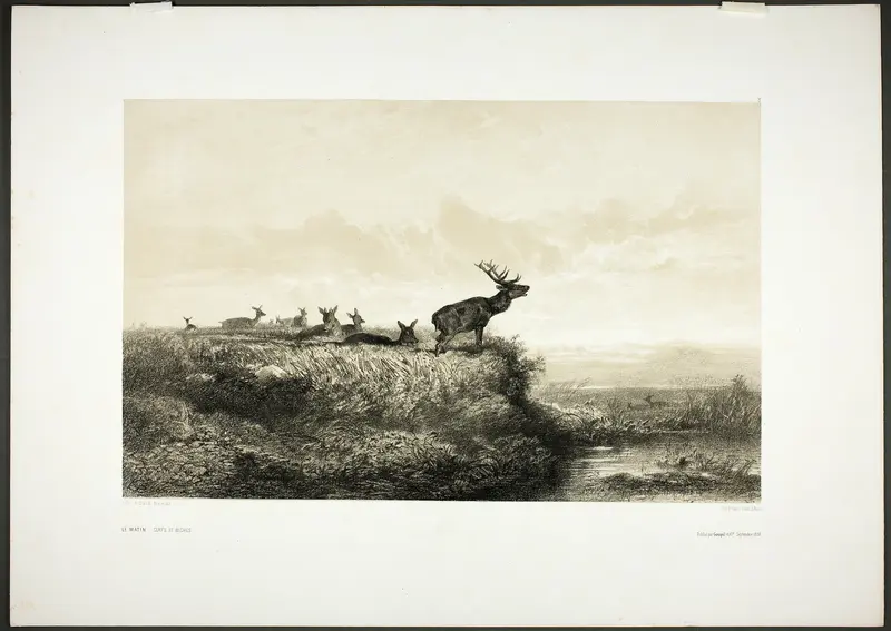 The Morning: Stags and Does Wall Art by Karl Bodmer - High-Resolution Digital Print