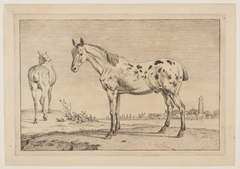 The Neighing Horse, from Series of Horses
