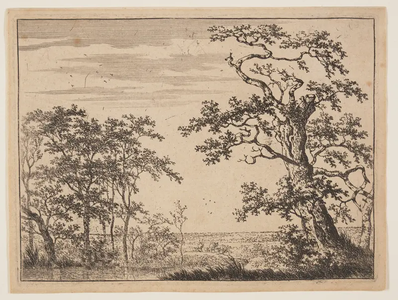 The Pond