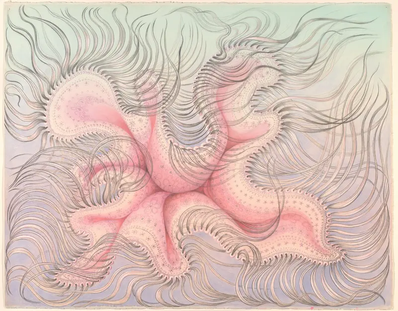 The Principle of Motion Wall Art by Kinke Kooi - High-Resolution Digital Print
