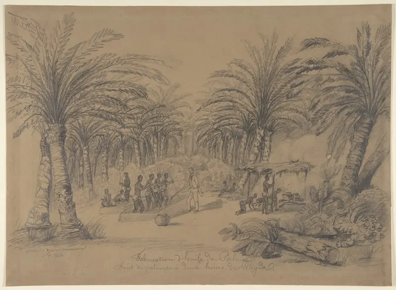 The Production of Palm Oil Wall Art by Anonymous, French, 19th century - High-Resolution Digital Print
