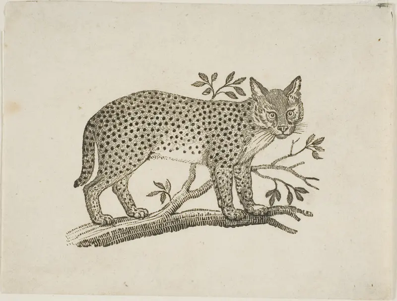 The Serval Wall Art by Thomas Bewick - High-Resolution Digital Print