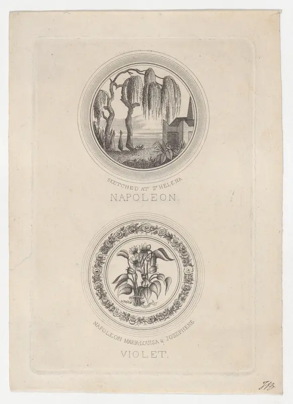 The shade of Napoleon visiting his tomb Wall Art by Anonymous - High-Resolution Digital Print