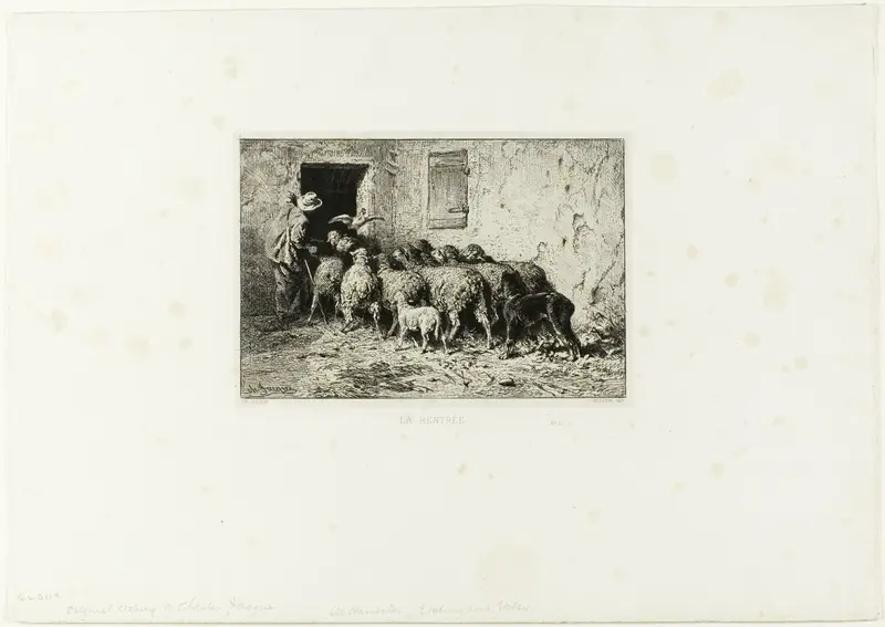 The Sheep Coming Home