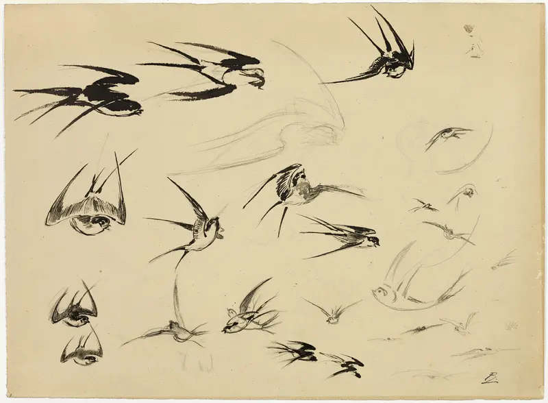 The Swallows