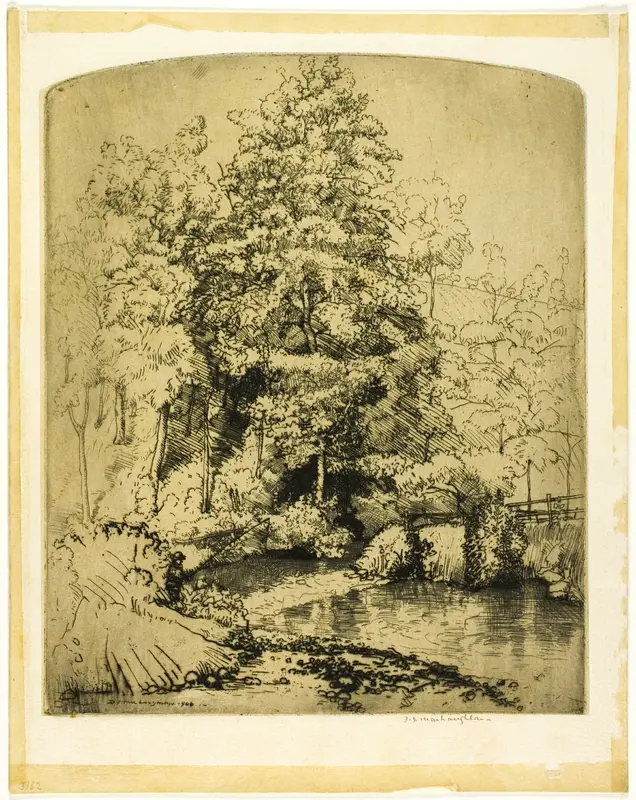 The Trout Stream