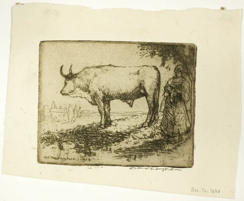 The White Ox