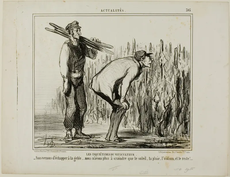 The Worries of a Wine Grower. “- We escaped the frost..... all we now have to worry about is the sun, the rain, the vine-mildew and all the rest...,” plate 397 from Actualités