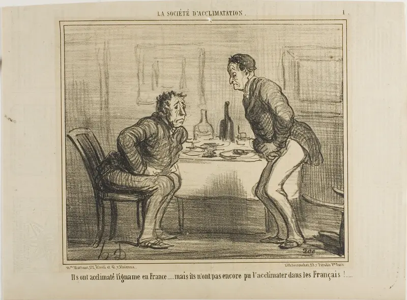 They succeeded in acclimatizing the Indian potato to the French climate, but it is still a problem to acclimatize the French to the Indian potato!, plate 1 from La Société D'acclimatation