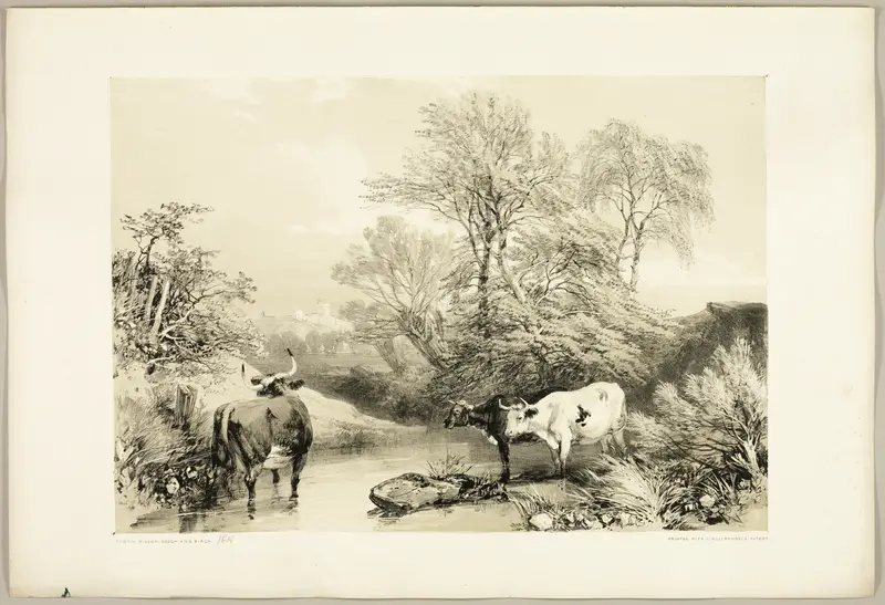 Thorn, Willow, Beech and Birch, from The Park and the Forest Wall Art by James Duffield Harding - High-Resolution Digital Print