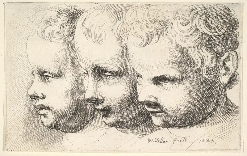 Three children's heads Wall Art by Wenceslaus Hollar - High-Resolution Digital Print
