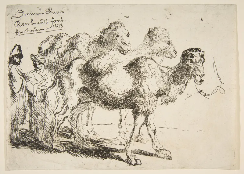 Three Dromedaries Wall Art by Rembrandt (Rembrandt van Rijn) - High-Resolution Digital Print