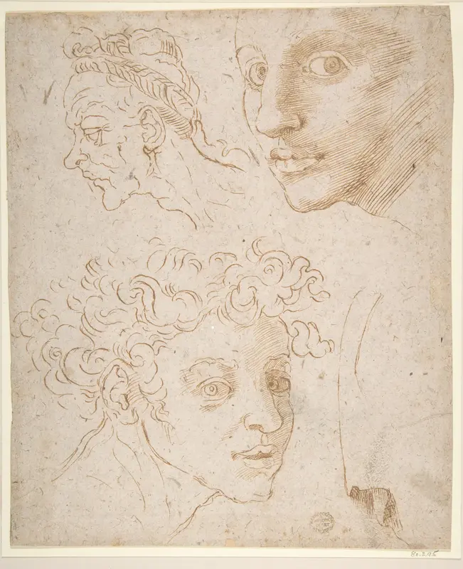 Three Heads after Michelangelo's Frescoes in the Sistine Chapel Wall Art by Anonymous, Italian, 16th century - High-Resolution Digital Print