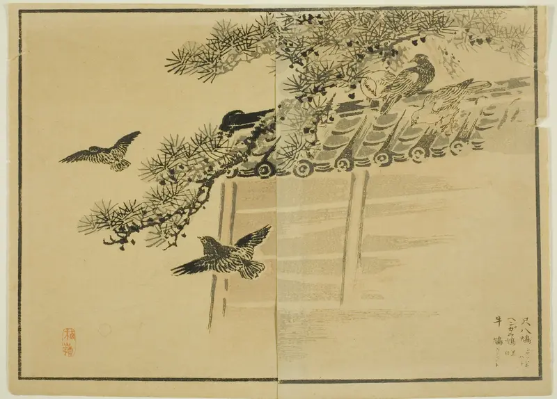 Three Kinds of Birds by a Wall