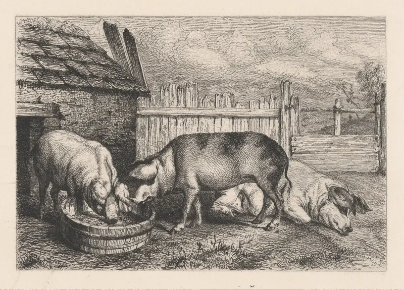 Three Pigs Near a Fence Wall Art by Karl Bodmer - High-Resolution Digital Print