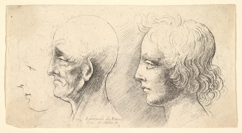 Three profile heads, one in outline only Wall Art by Wenceslaus Hollar - High-Resolution Digital Print