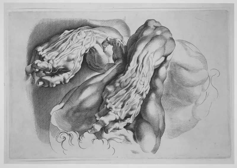 Three Studies of Écorchés Wall Art by Paulus Pontius - High-Resolution Digital Print