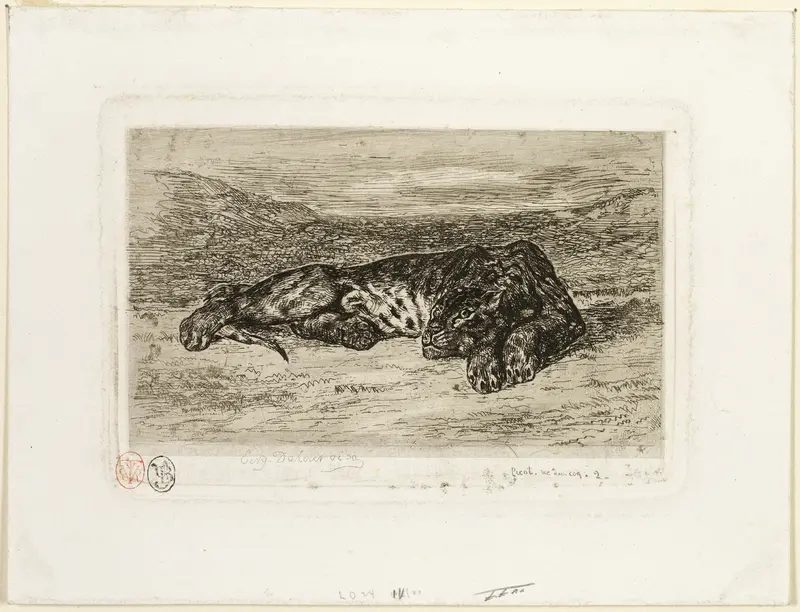 Tiger Resting in the Desert