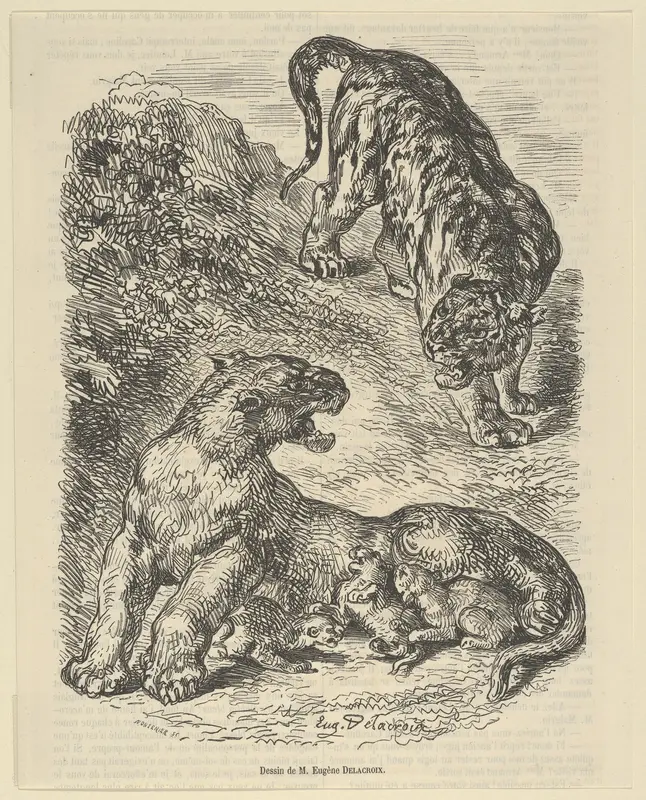 Tigress Attacked by a Tiger While Nursing her Young, from "Le Magasin Pittoresque"