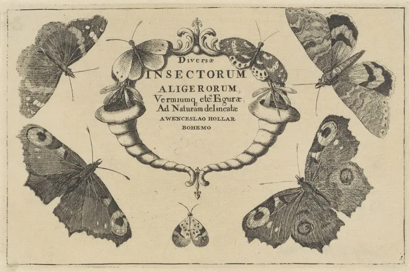Titelprent voor een serie met verschillende insecten Wall Art by Unknown - High-Resolution Digital Print