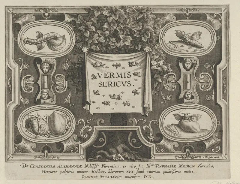 Title Plate from "The Introduction of the Silkworm" [Vermis Sericus] Wall Art by Karel van Mallery - High-Resolution Digital Print