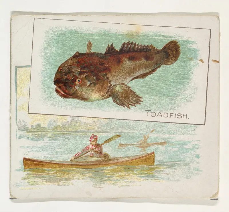Toadfish, from Fish from American Waters series (N39) for Allen & Ginter Cigarettes Wall Art by Allen & Ginter - High-Resolution Digital Print