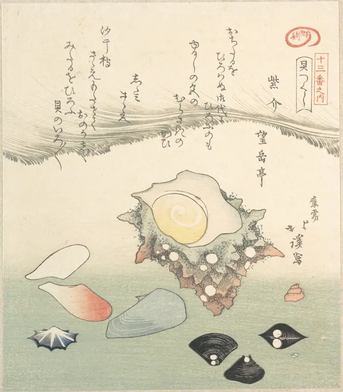 Top-Shell and Various Shells