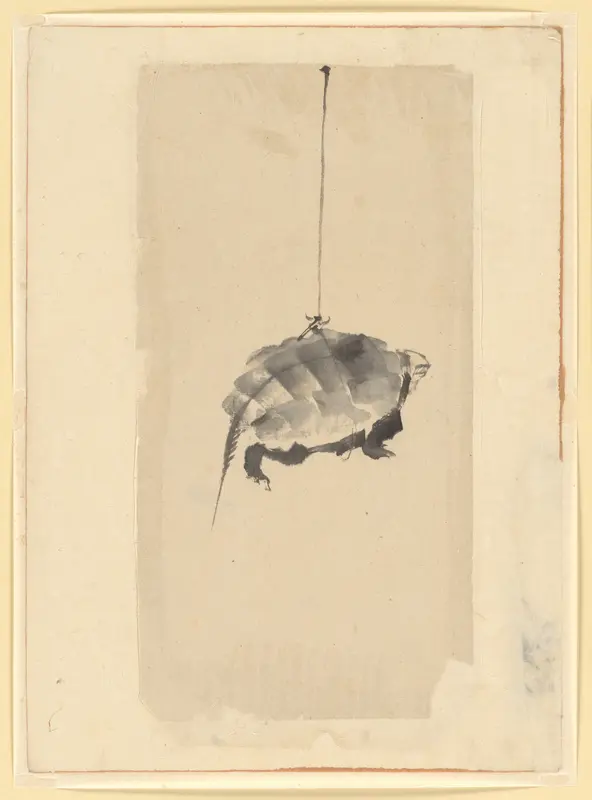 Tortoise Suspended By String