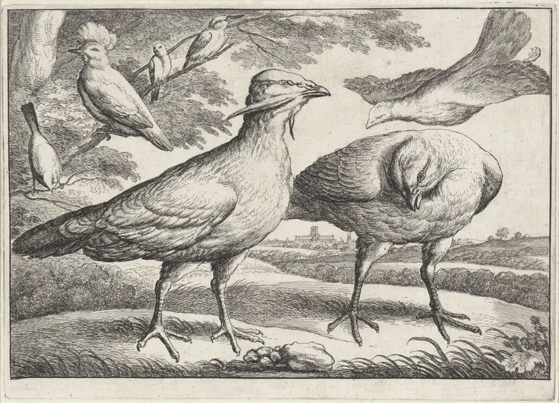 Trapganzen en een kaketoe Wall Art by Wenceslaus Hollar - High-Resolution Digital Print