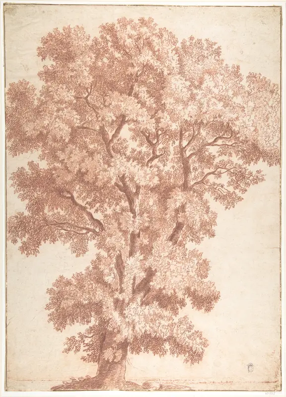 Tree Wall Art by Anonymous, Italian, Roman-Bolognese, 17th century - High-Resolution Digital Print