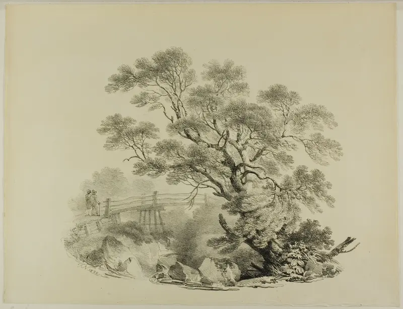 Tree and Footbridge